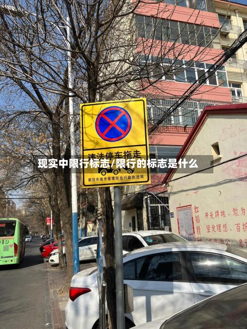 现实中限行标志/限行的标志是什么