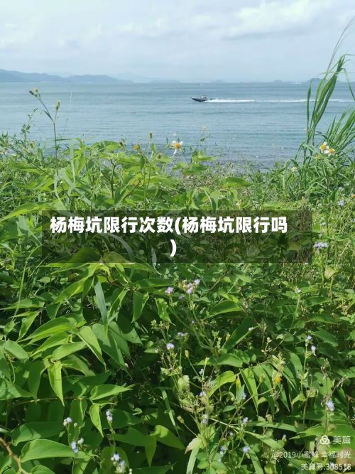 杨梅坑限行次数(杨梅坑限行吗)-第2张图片