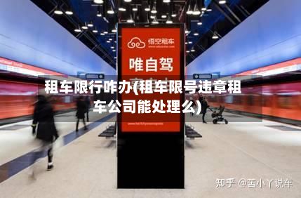 租车限行咋办(租车限号违章租车公司能处理么)