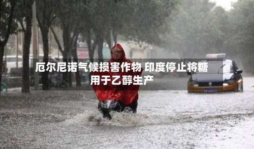 厄尔尼诺气候损害作物 印度停止将糖用于乙醇生产-第2张图片
