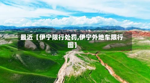 最近【伊宁限行处罚,伊宁外地车限行图】-第2张图片