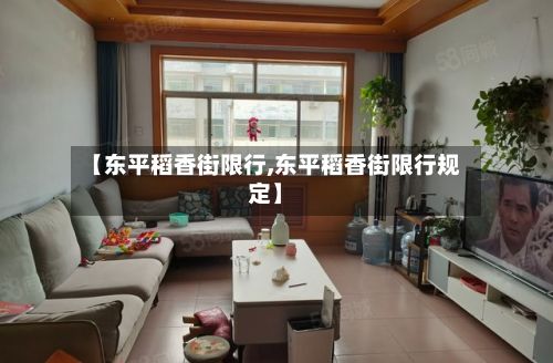 【东平稻香街限行,东平稻香街限行规定】
