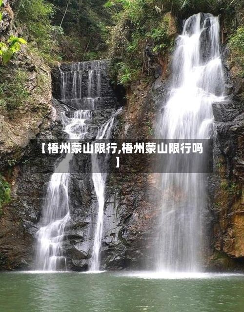 【梧州蒙山限行,梧州蒙山限行吗】-第2张图片