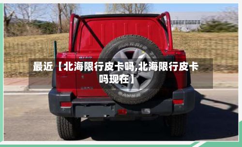 最近【北海限行皮卡吗,北海限行皮卡吗现在】-第2张图片
