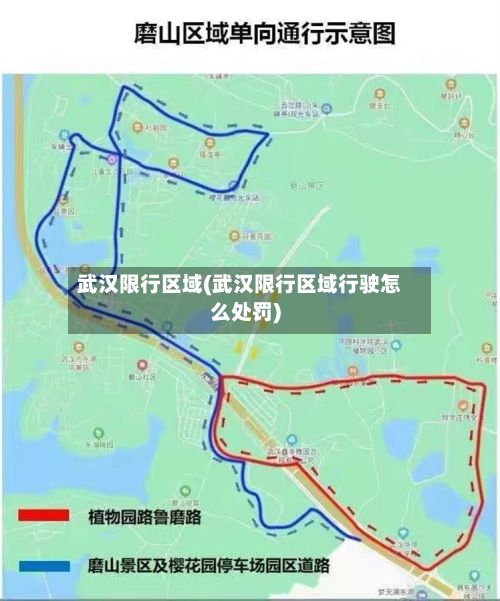 武汉限行区域(武汉限行区域行驶怎么处罚)