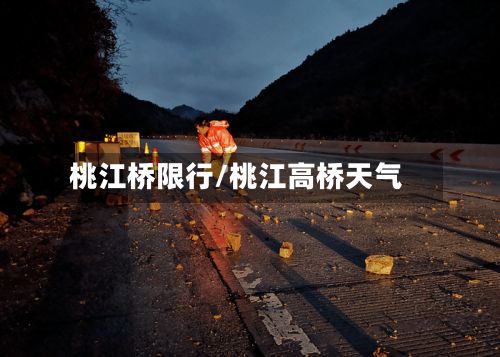 桃江桥限行/桃江高桥天气
