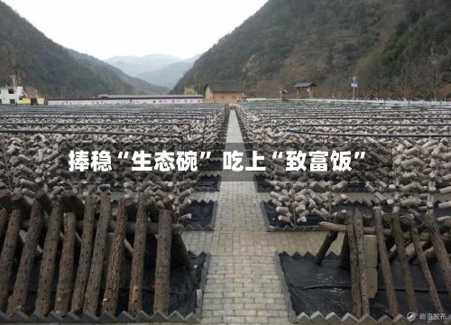 捧稳“生态碗	” 吃上“致富饭”-第3张图片