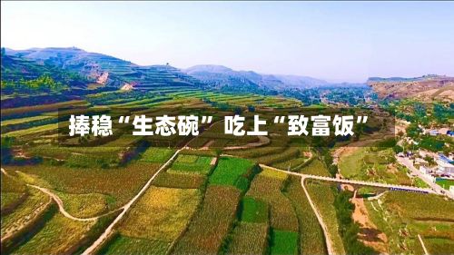 捧稳“生态碗” 吃上“致富饭”-第2张图片