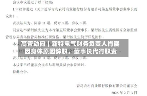 高管动向｜新特电气财务负责人肖崴因身体原因辞职，董事长代行职责-第1张图片