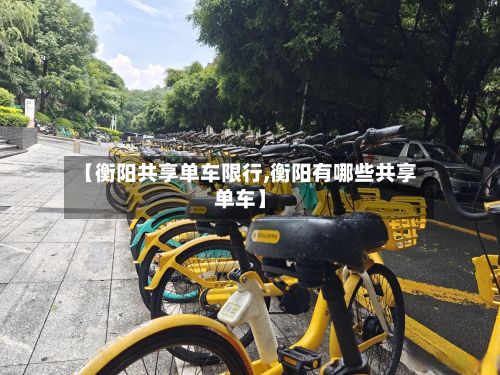 【衡阳共享单车限行,衡阳有哪些共享单车】