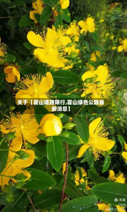 关于【霍山道路限行,霍山绿色公路最新消息】-第2张图片