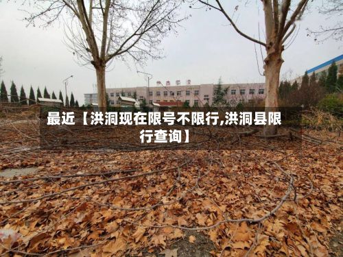 最近【洪洞现在限号不限行,洪洞县限行查询】
