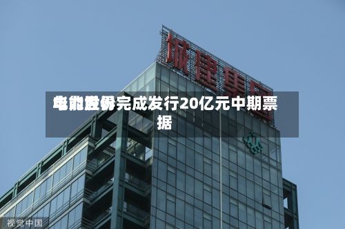 华能世界电力股份完成发行20亿元中期票据-第1张图片