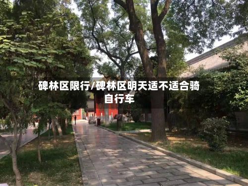 碑林区限行/碑林区明天适不适合骑自行车