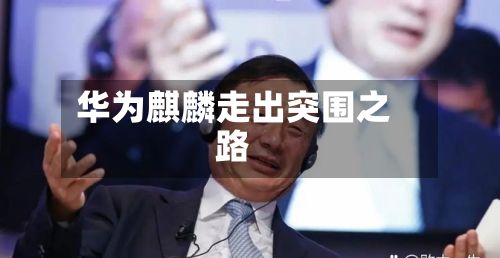 华为麒麟走出突围之路-第3张图片