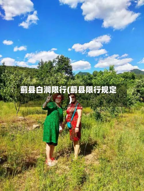 蓟县白涧限行(蓟县限行规定)