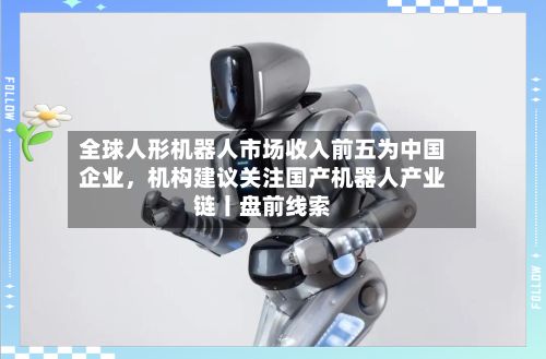 全球人形机器人市场收入前五为中国企业	，机构建议关注国产机器人产业链丨盘前线索-第2张图片