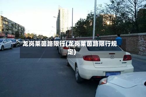 龙岗莱茵路限行(龙岗莱茵路限行规定)-第2张图片