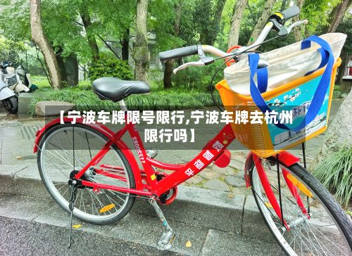 【宁波车牌限号限行,宁波车牌去杭州限行吗】-第2张图片