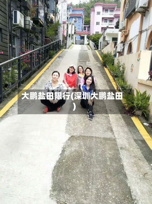 大鹏盐田限行(深圳大鹏盐田)-第2张图片
