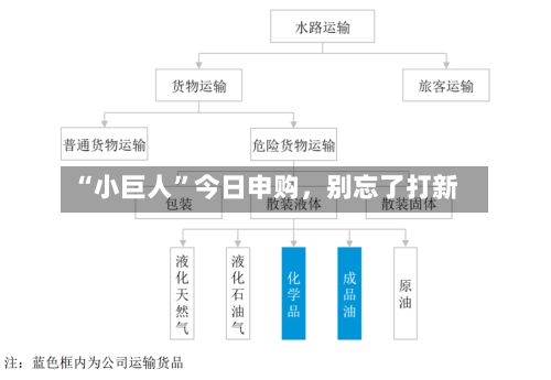 “小巨人”今日申购，别忘了打新