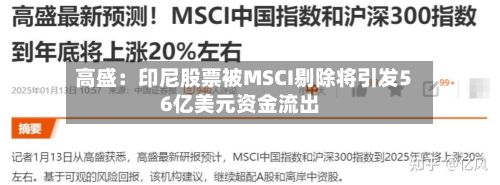 高盛:印尼股票被MSCI剔除将引发56亿美元资金流出-第2张图片