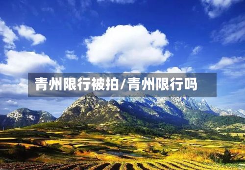 青州限行被拍/青州限行吗