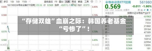 “存储双雄”血崩之际：韩国养老基金“亏惨了”！-第2张图片