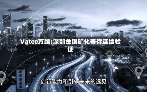Vatee万腾:深部金银矿化等待连续验证-第2张图片