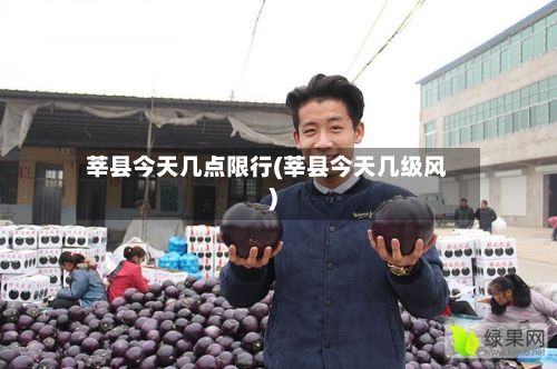 莘县今天几点限行(莘县今天几级风)
