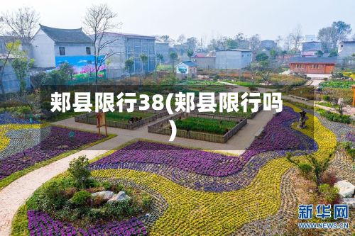 郏县限行38(郏县限行吗)