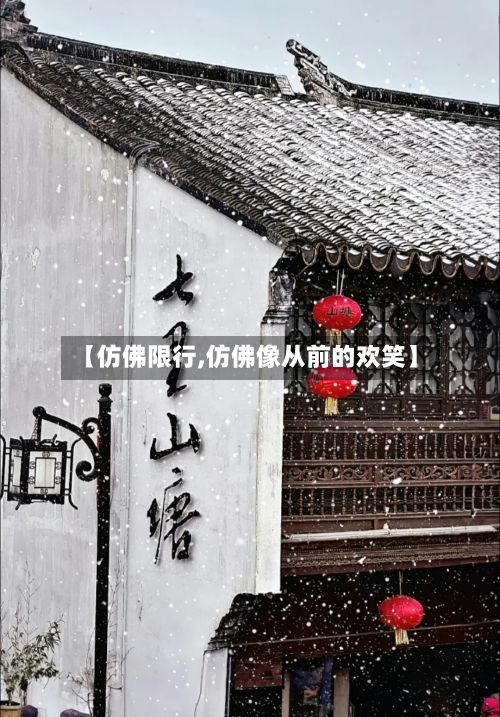 【仿佛限行,仿佛像从前的欢笑】-第3张图片