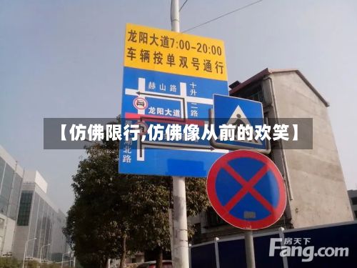 【仿佛限行,仿佛像从前的欢笑】-第2张图片