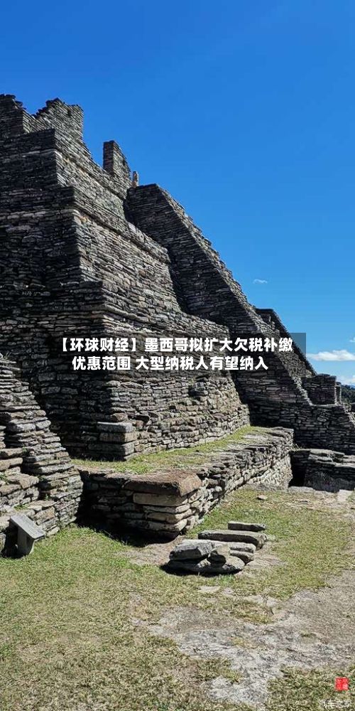 【环球财经】墨西哥拟扩大欠税补缴优惠范围 大型纳税人有望纳入-第2张图片
