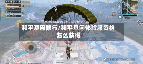和平基因限行/和平基因体验服资格怎么获得-第2张图片