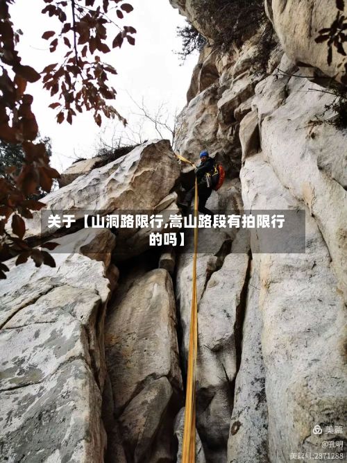 关于【山洞路限行,嵩山路段有拍限行的吗】