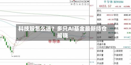 科技股怎么选？多只AI基金最新持仓揭晓