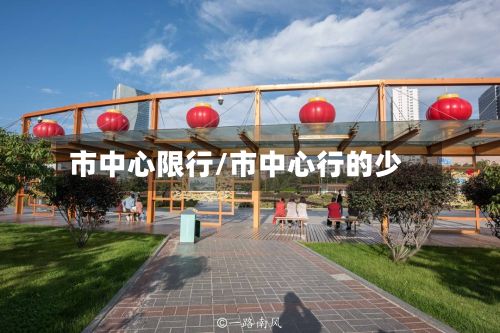 市中心限行/市中心行的少