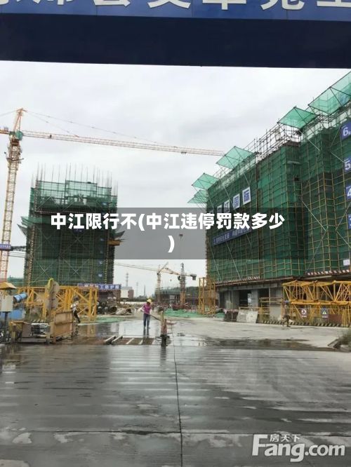 中江限行不(中江违停罚款多少)
