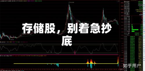 存储股，别着急抄底