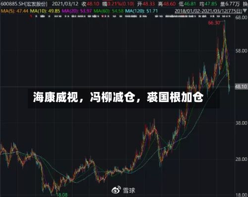 海康威视，冯柳减仓，裘国根加仓