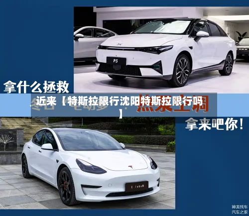 近来【特斯拉限行沈阳特斯拉限行吗】