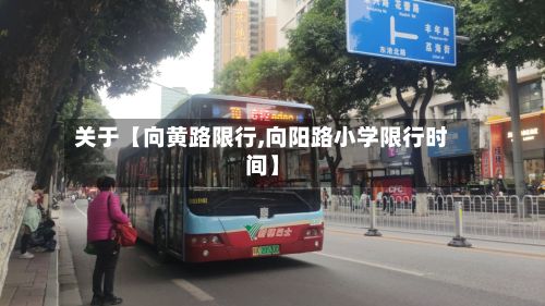 关于【向黄路限行,向阳路小学限行时间】