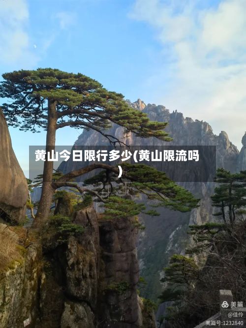 黄山今日限行多少(黄山限流吗)-第2张图片