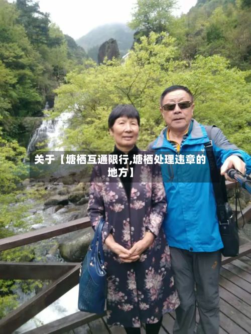 关于【塘栖互通限行,塘栖处理违章的地方】-第3张图片