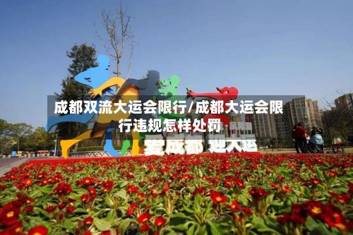 成都双流大运会限行/成都大运会限行违规怎样处罚