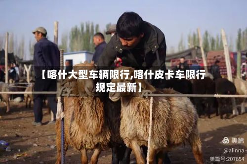 【喀什大型车辆限行,喀什皮卡车限行规定最新】-第2张图片