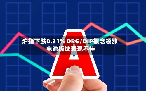 沪指下跌0.31% DRG/DIP概念领涨 电池板块表现不佳-第1张图片