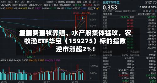 世界鱼粉费用暴涨！畜牧养殖、水产股集体猛攻，农牧渔ETF华宝（159275）标的指数逆市涨超2%！-第3张图片