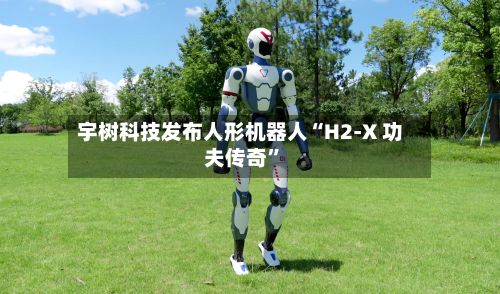 宇树科技发布人形机器人“H2-X 功夫传奇	”-第2张图片